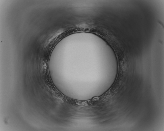 X0000103401302200809261610