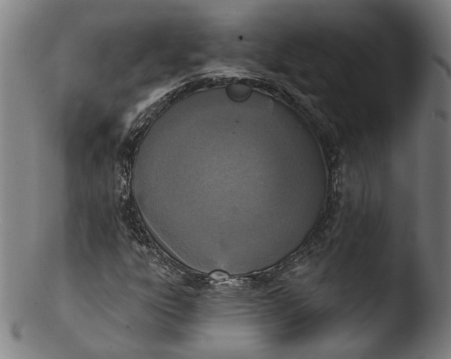 X0000103401303200809261610