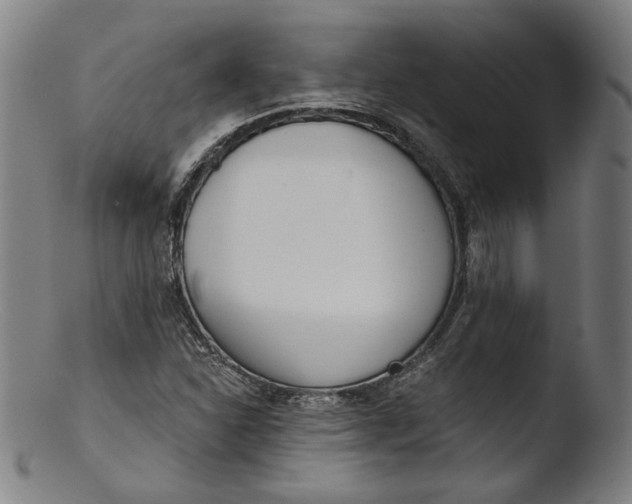 X0000103401310200809261610