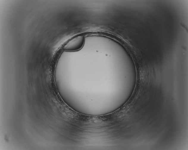 X0000103401311200809261610