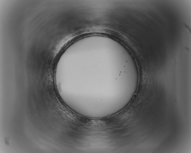 X0000103401312200809261610