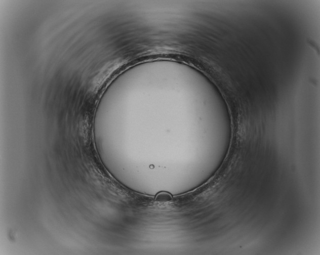 X0000103401313200809261610