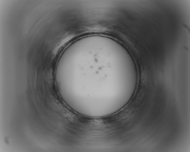 X0000103401315200809261610