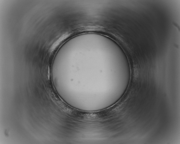 X0000103401317200809261610