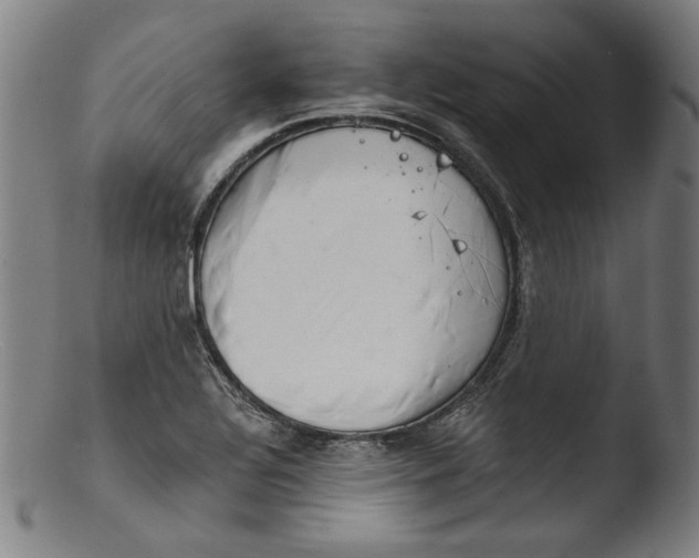 X0000103401320200809261610