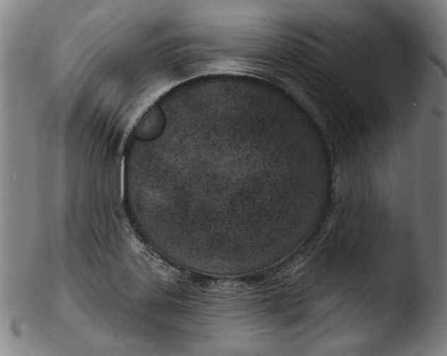 X0000103401323200809261611