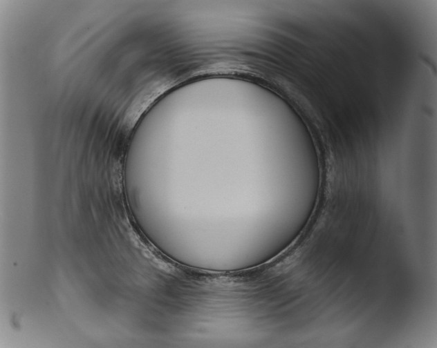 X0000103401329200809261611