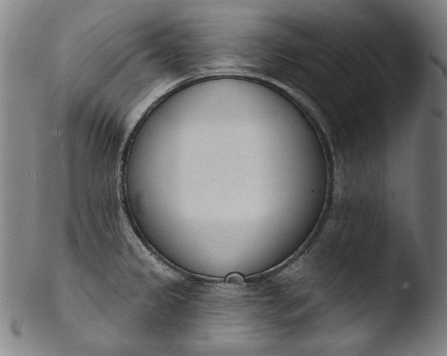 X0000103401333200809261611