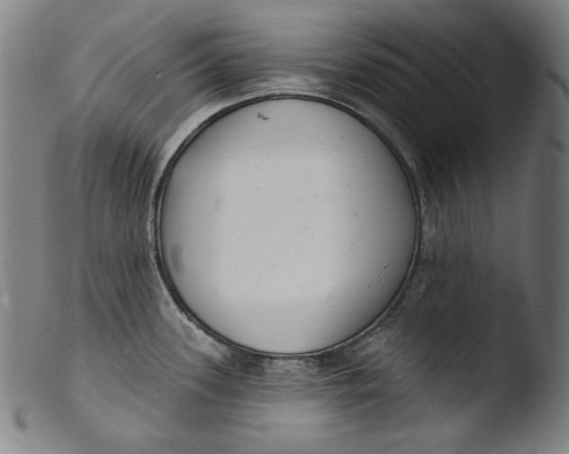 X0000103401339200809261611