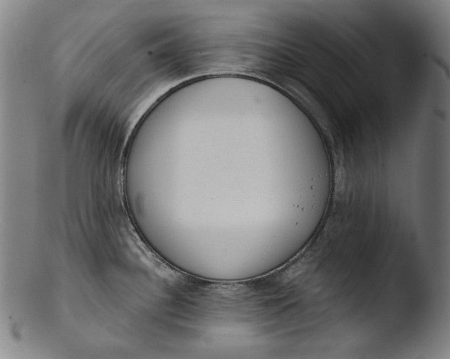 X0000103401340200809261611