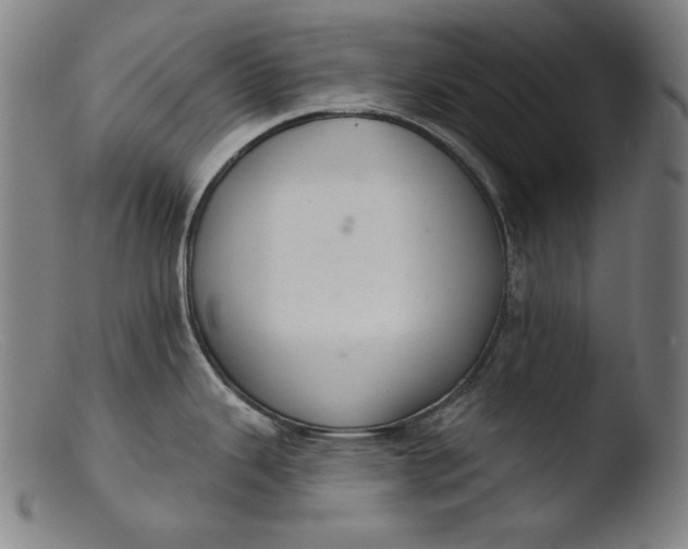 X0000103401343200809261611