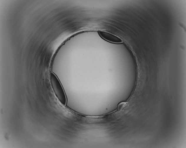 X0000103401344200809261611