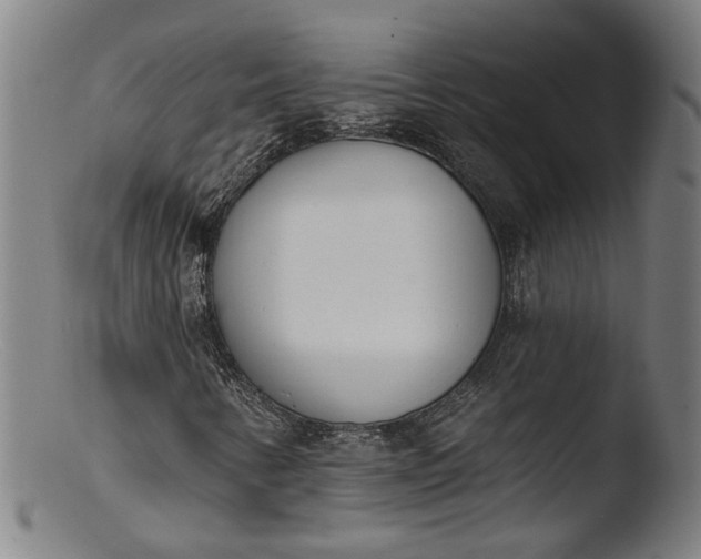 X0000103401346200809261610