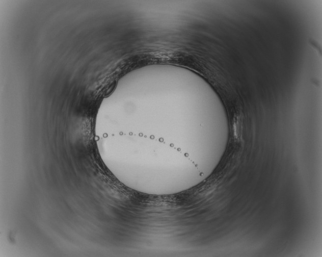 X0000103401347200809261610