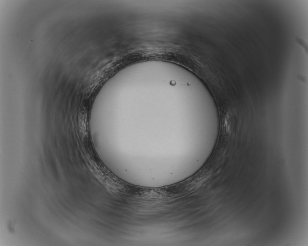 X0000103401348200809261610