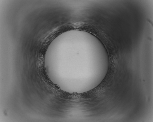 X0000103401349200809261610