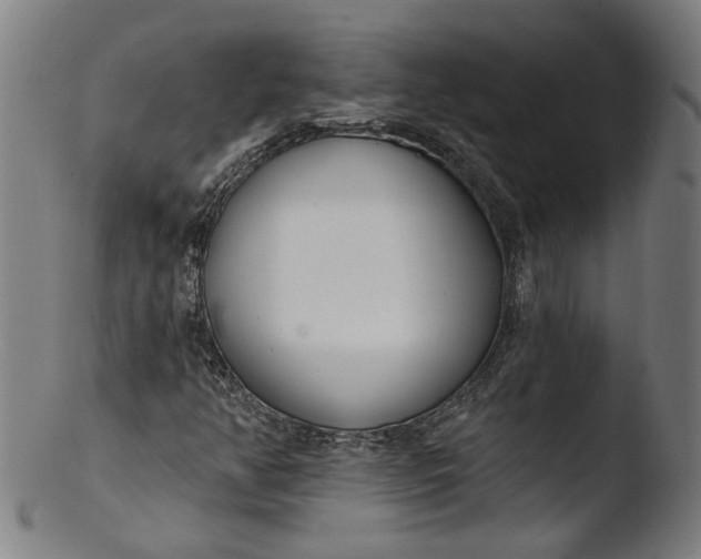 X0000103401350200809261610