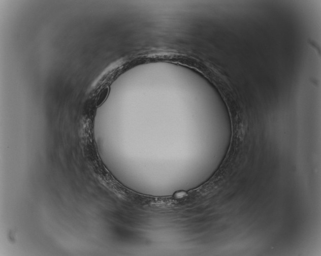 X0000103401351200809261610