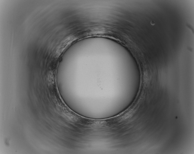 X0000103401353200809261610