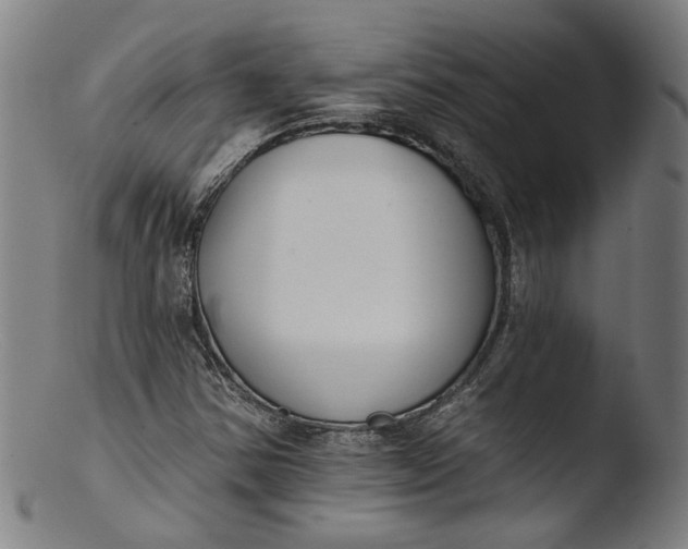 X0000103401354200809261610