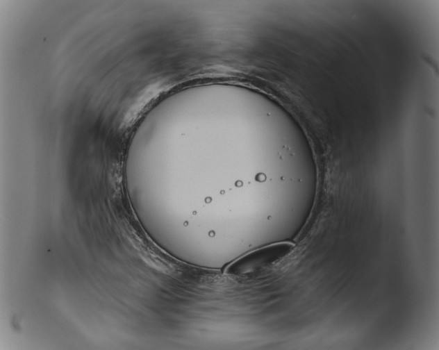 X0000103401355200809261610