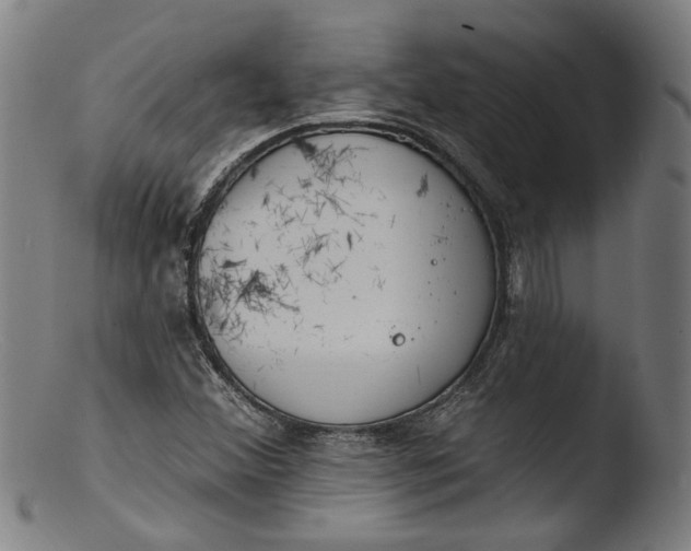 X0000103401356200809261610