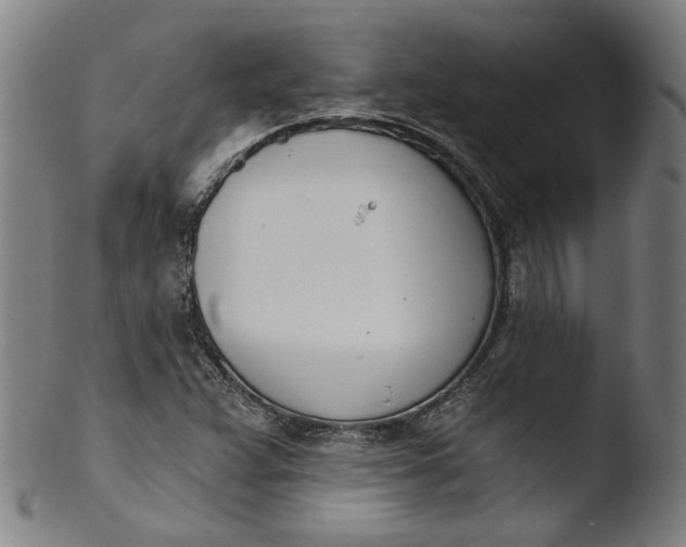 X0000103401359200809261610