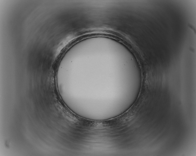 X0000103401360200809261610