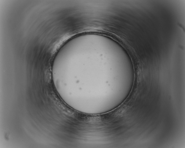 X0000103401363200809261610