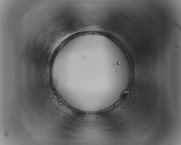 X0000103401364200809261610