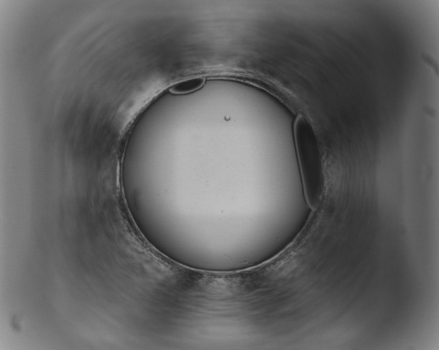 X0000103401365200809261610