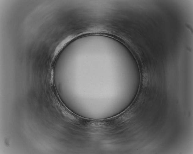 X0000103401366200809261610