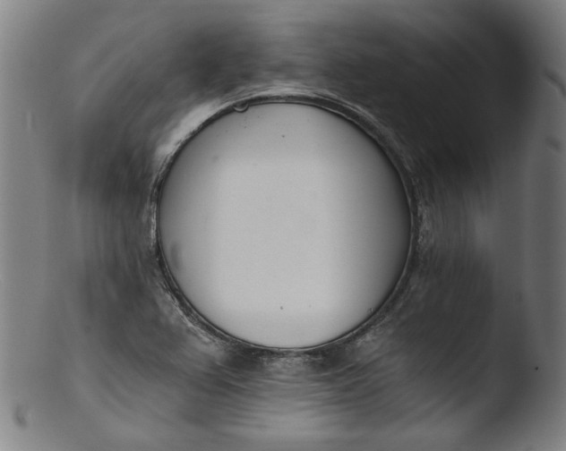 X0000103401367200809261610