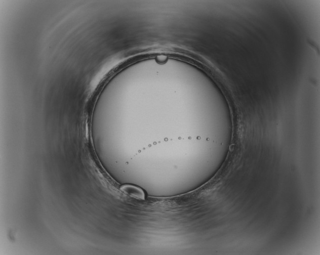 X0000103401368200809261610