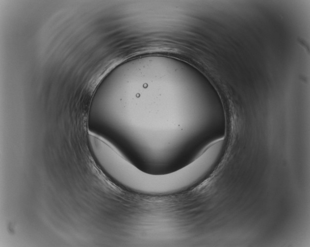 X0000103401369200809261609