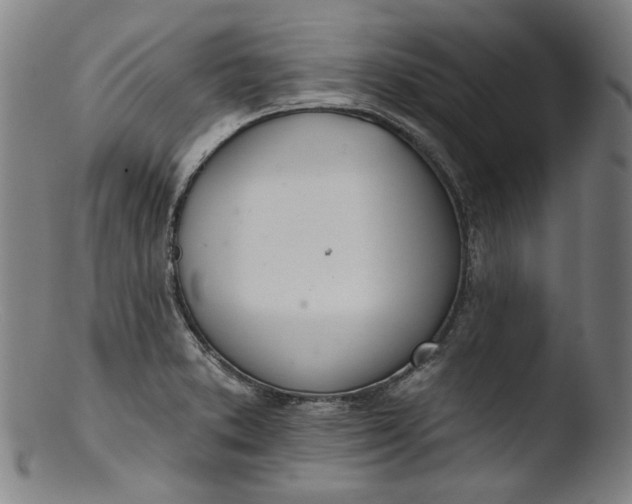 X0000103401373200809261609