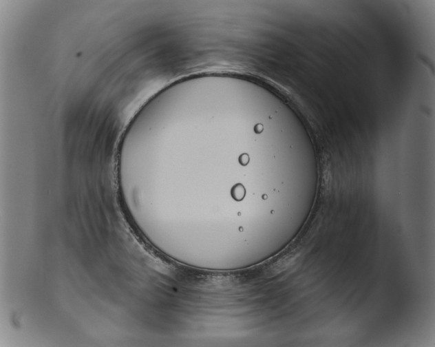 X0000103401375200809261609