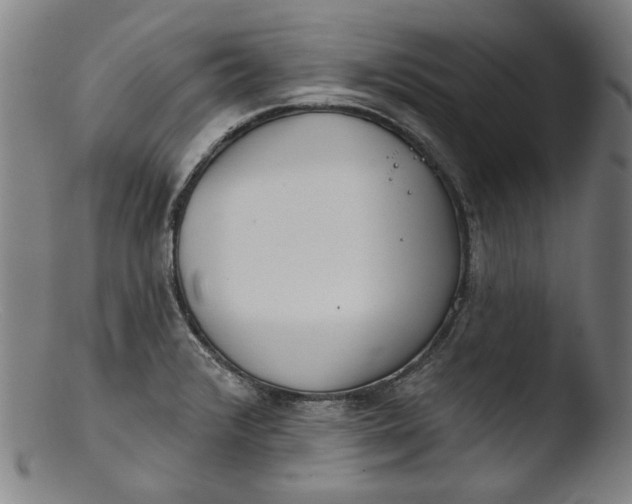 X0000103401376200809261609