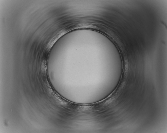 X0000103401377200809261609