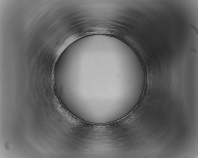 X0000103401378200809261609