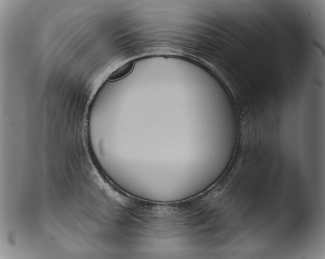 X0000103401379200809261609