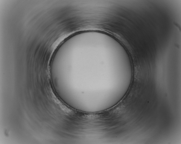 X0000103401380200809261609