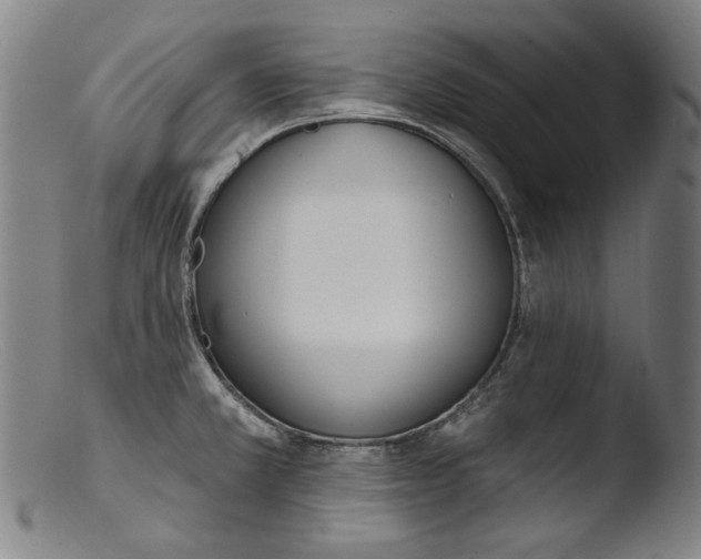 X0000103401381200809261609