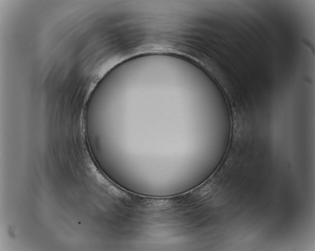 X0000103401382200809261609