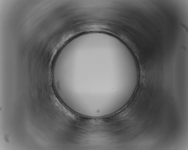 X0000103401384200809261609