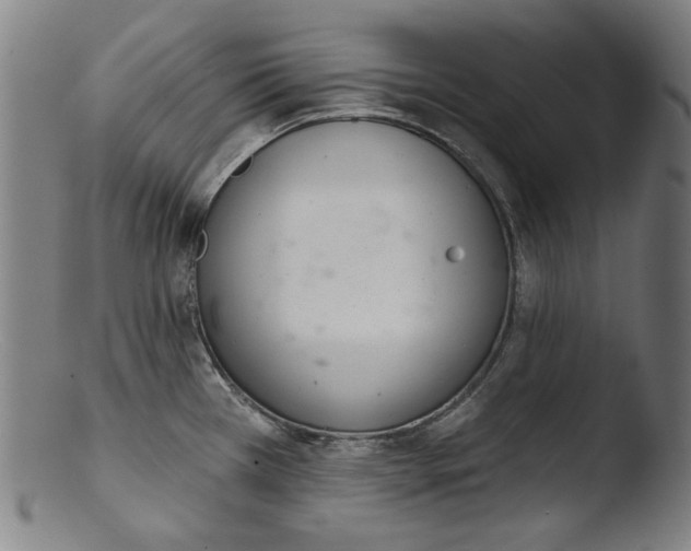 X0000103401385200809261609