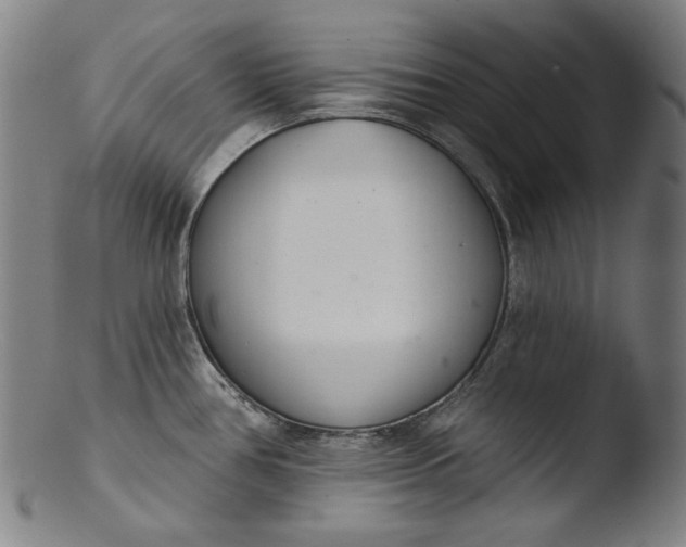 X0000103401386200809261609