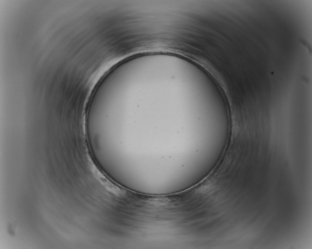 X0000103401388200809261609