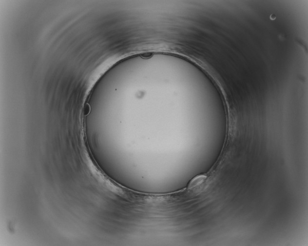 X0000103401389200809261609