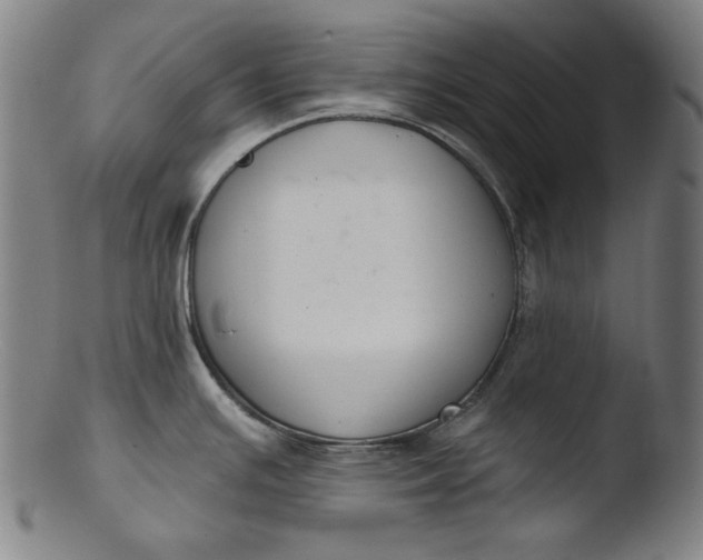 X0000103401391200809261609